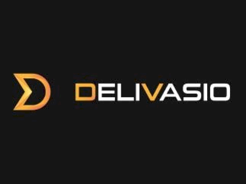 Logo entreprise de livraison Vaison-la-Romaine DeliVasio Logo entreprise de livraison Vaison-la-Romaine DeliVasio