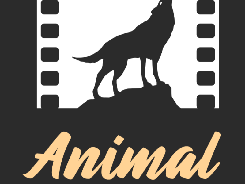 Expert animalier pour cinéma en Normandie – Animal Connection Expert animalier pour cinéma en Normandie – Animal Connection