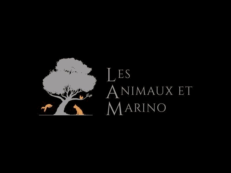 LES ANIMAUX ET MARINO LES ANIMAUX ET MARINO