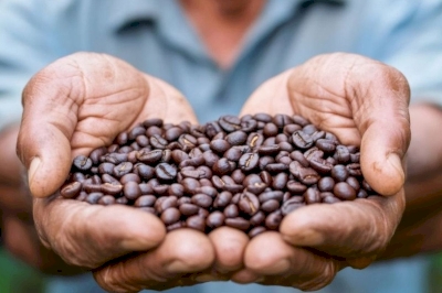 Site e-commerce de La Maison du Bon Café connecté à l’ERP AS400