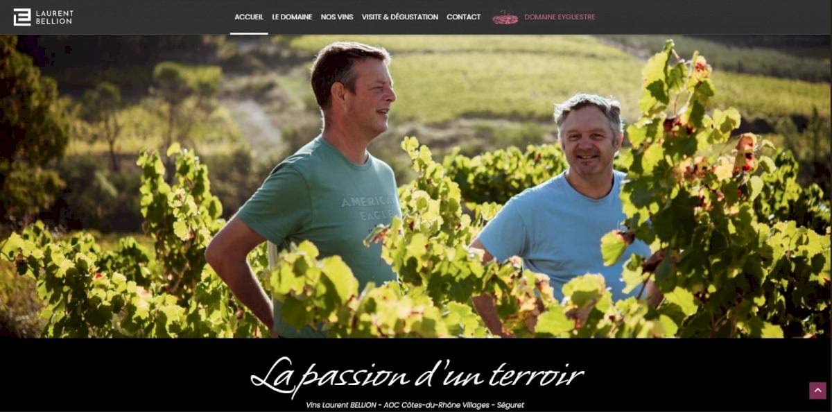 Domaine Laurent Bellion