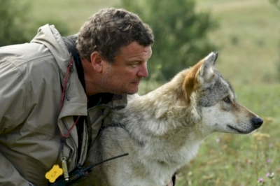 Animal connection site web vitrine arkana Animal connection site web vitrine arkana